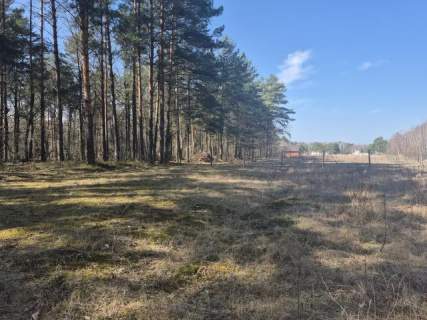 prywatny las, wz - dom jednorodzinny, droga gminna
