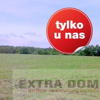 Działka na sprzedaż, 77200 m2, Łosośnica