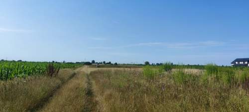 Działka budowlana na sprzedaż, 1500 m2, Zaborówek