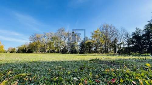 Piękna i wyjątkowa działka. Radwanice. 1400 m2