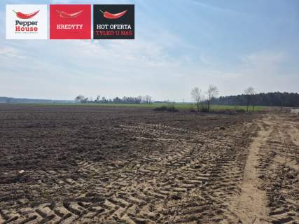 Zamieszkaj 3 km od Malborka, 3 min. Od rzeki Nogat