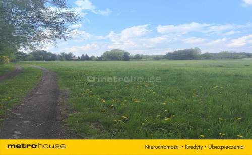 DZIAŁKA Z OFERTĄ CISZY I SPOKOJU W BONUSIE