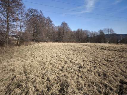 Żywiec - teren zieleni położony nad strumykiem
