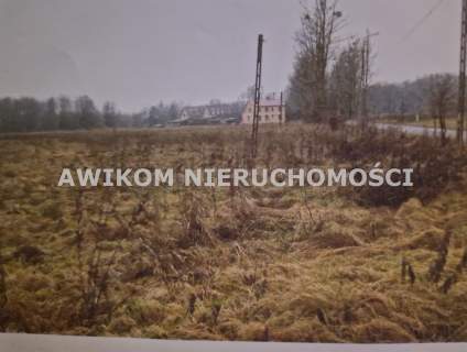 Działka na sprzedaż, 5700 m2, Białowieża