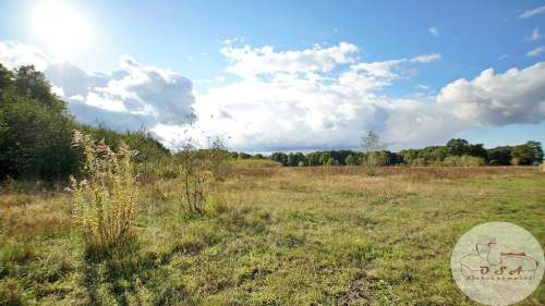 2,3 ha 15 km A2 WZ magazyn farma fotowoltaiczna