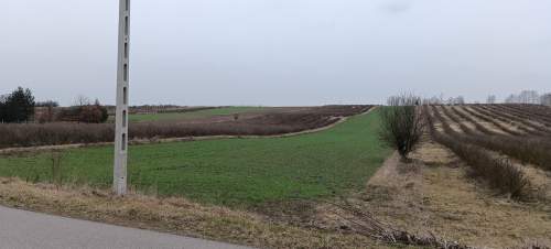 Działka rolno-budowlana Józefatów 1,01 ha