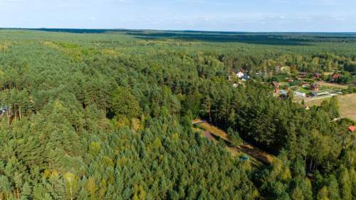 Działka budowlano leśna Kamińsko 8283m2