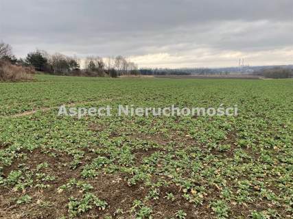 Działka budowlana 5000mkw   Gorzyce
