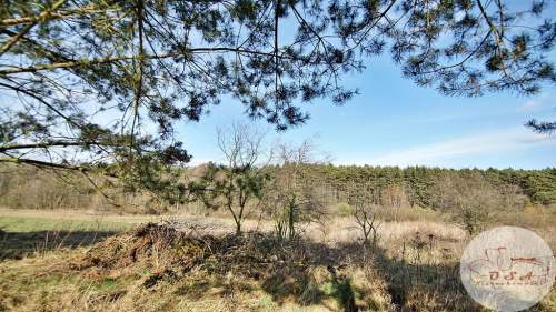 Działki pod lasem 4826 m Łódź 6 km Stęszew WPN