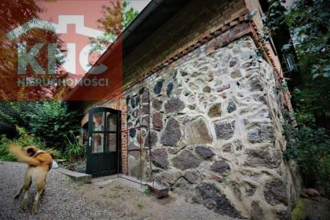 Agroturystyka w Puszczy Noteckiej