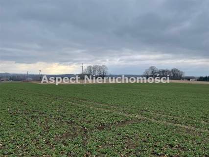 Działka budowlana 5000mkw   Gorzyce