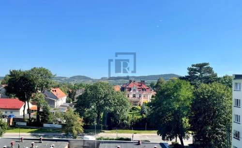 2 pokoje Balkon 2 piwnice Osobna kuchnia