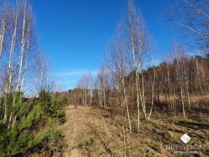 Działki nad jeziorem Maróz