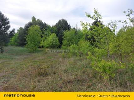 Czeszów - Działka budowlana blisko natury.