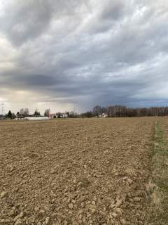 Działka rolno-budowlana w Wojniczu