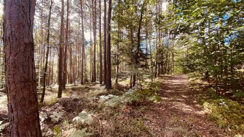 Dom na sprzedaż, 100 m2, Ruda Kameralna
