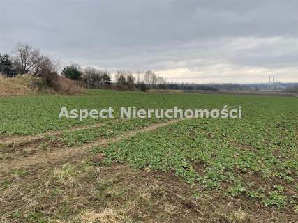 Działka budowlana 5000mkw   Gorzyce