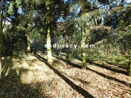 Działka budowlana na sprzedaż, 4100 m2, Biały Ług