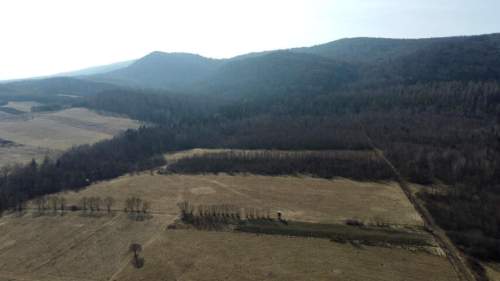 LAS OLCHOWY, PIELGRZYMKA, GM. OSIEK JASIELSKI, 1,65HA