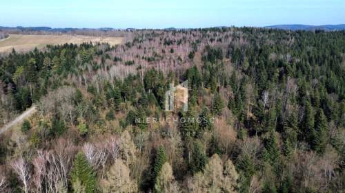 DUŻY LAS JODŁOWO-BUKOWY W SZERZYNACH 4,90HA