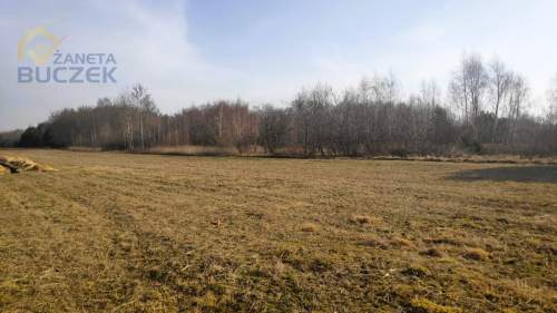 Sprzedam działki budowlane w Adamowej Górze