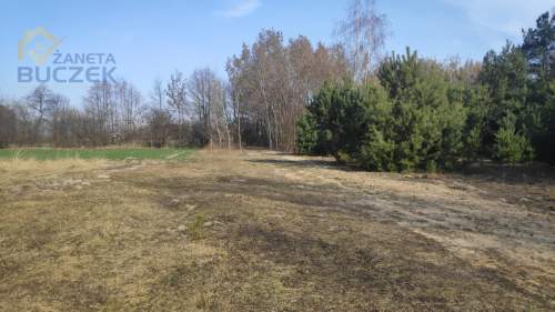 Sprzedam działki budowlano-usługowe w Lubiejewie