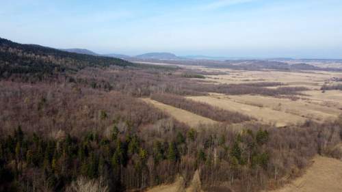 LAS OLCHOWY, PIELGRZYMKA, GM. OSIEK JASIELSKI, 1,65HA