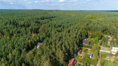 Działka budowlano leśna Kamińsko 8283m2
