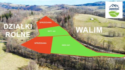 Działki rolne w Walimiu
