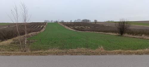 Działka rolno-budowlana Józefatów 1,01 ha