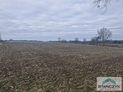Działka Idealna Pod Farmę Fotowoltaiczną