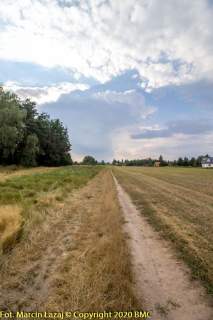 Działka letniskowa Pawełki 1293m2