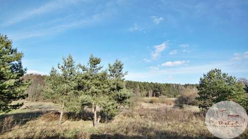 Działki pod lasem 4826 m Łódź 6 km Stęszew WPN