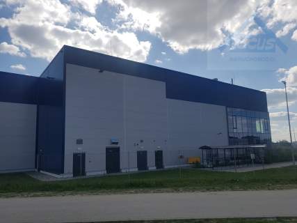 Magazyn 1903,5 m2, wynajem Ursus