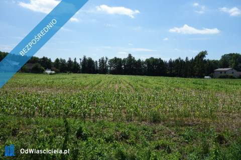 Skoczów Ochaby 1,57ha z częścią budowlaną 55ar i pod usługi