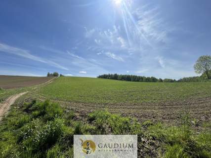 Działka z Warunkami Zabudowy 2138 m2 Zła Wieś