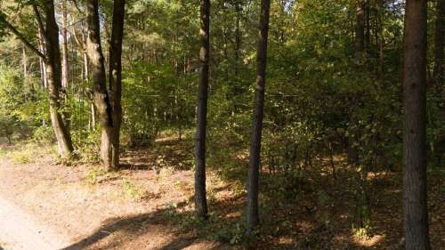 Działka budowlano leśna Kamińsko 8283m2
