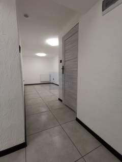 Lokal użytkowy na parterze 38m2 Palmowa