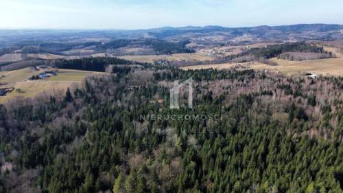 DUŻY LAS JODŁOWO-BUKOWY W SZERZYNACH 4,90HA