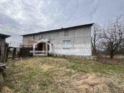 Połęczyno siedlisko 0,6 ha na sprzedaż.