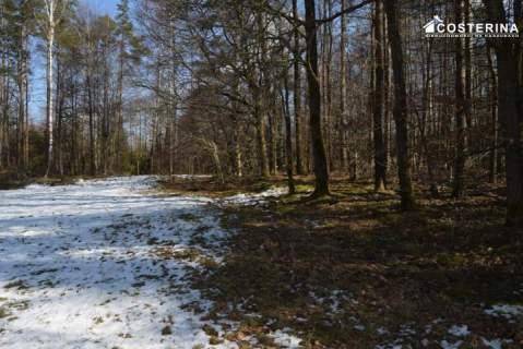 Działki budowlane w Bukowinie, gmina Cewice