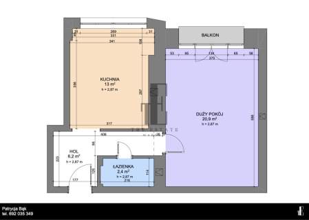  Kamienica Balkon Bezpośrednio przy parku 