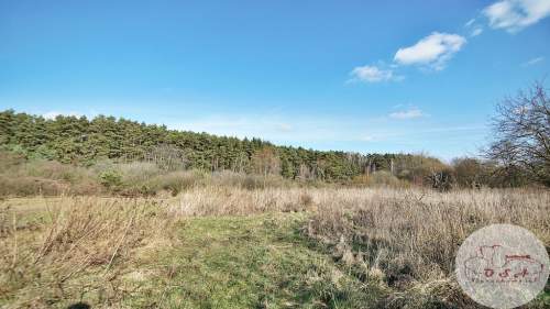Działki pod lasem 4826 m Łódź 6 km Stęszew WPN