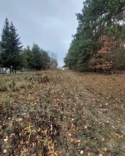 DZIAŁKA BUDOWLANO - ROLNA BLISKO PUSZCZY - MPZP