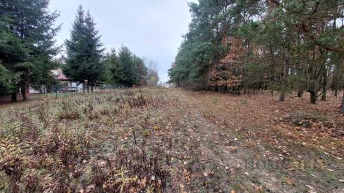 DZIAŁKA BUDOWLANO - ROLNA BLISKO PUSZCZY - MPZP