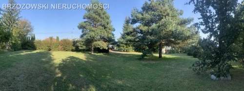 Wołomin, MPZP, 3379 m2, usługowa