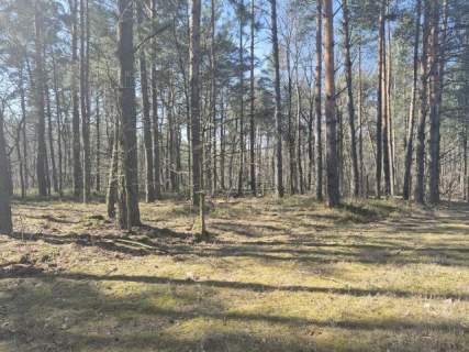 prywatny las, wz - dom jednorodzinny, droga gminna