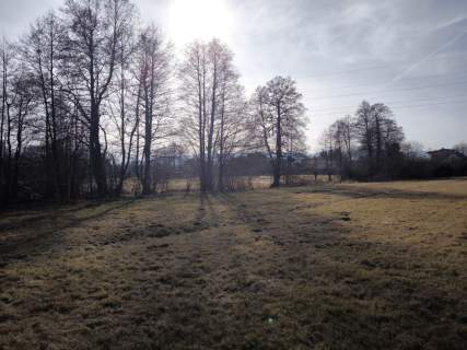 Żywiec - teren zieleni położony nad strumykiem