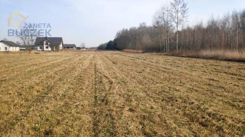 Sprzedam działki budowlane w Adamowej Górze