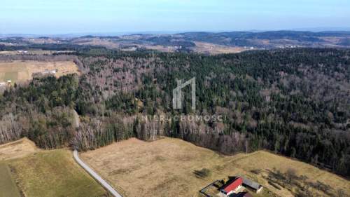 DUŻY LAS JODŁOWO-BUKOWY W SZERZYNACH 4,90HA